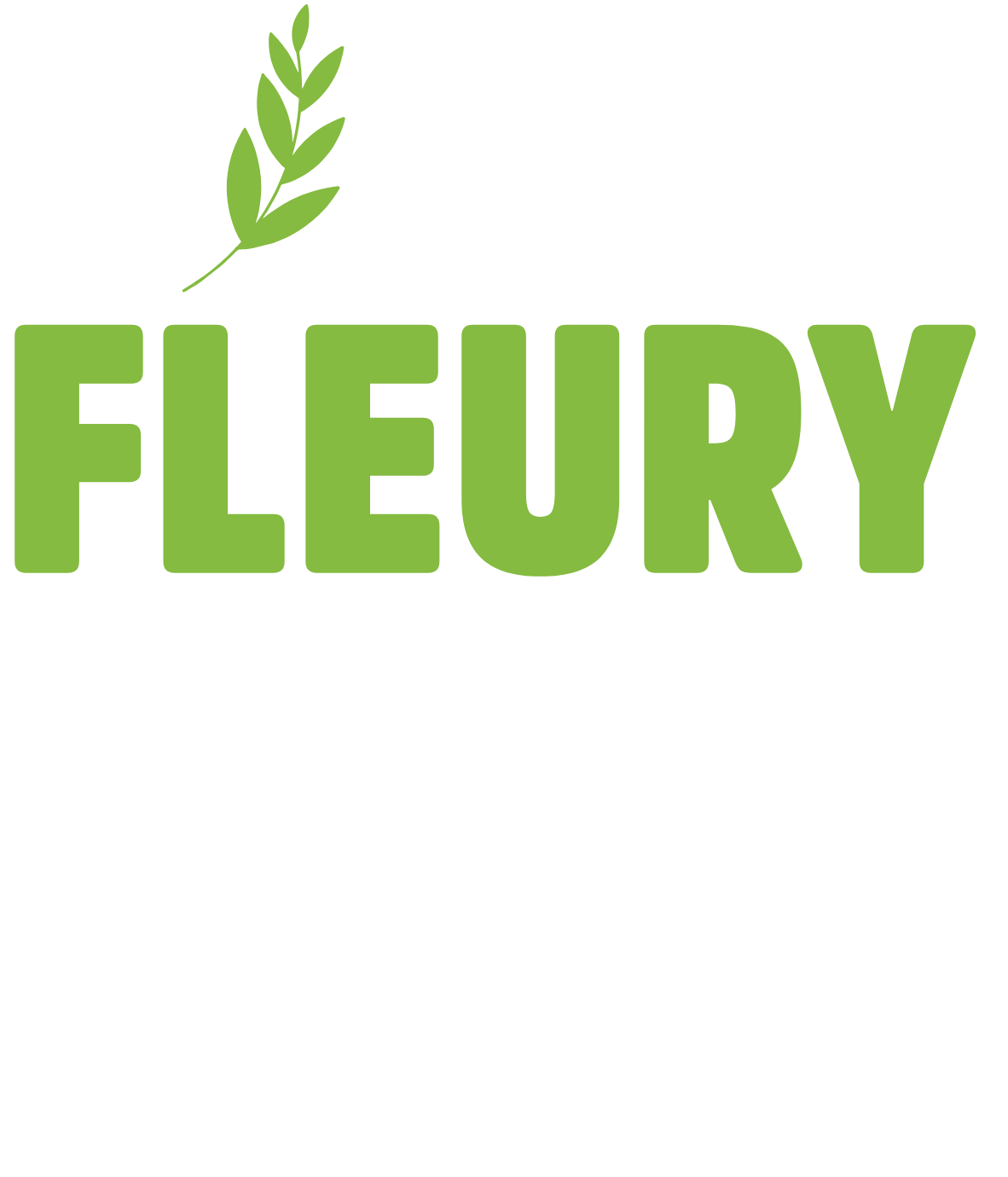 Carol Fleury, deputada federal, 5555